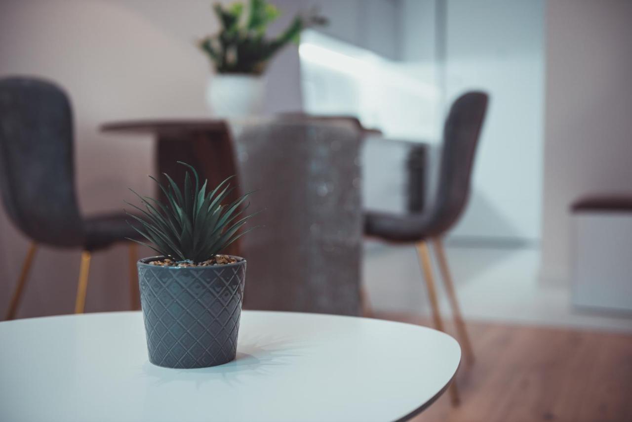 Tam Serviced Apartment City Center No2 ティラナ エクステリア 写真